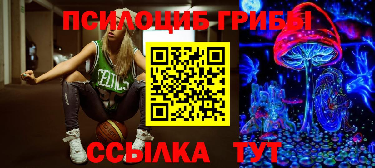 Псилоцибиновые грибы Psilocybe  что такое   Великие Луки  Псилоцибиновые грибы мухоморы  Вход с VPN 